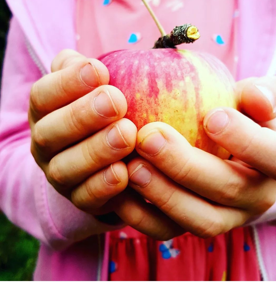 Child holding apple. Photograph by Hannah Foley. All rights reserved (www.hannah-foley.co.uk)